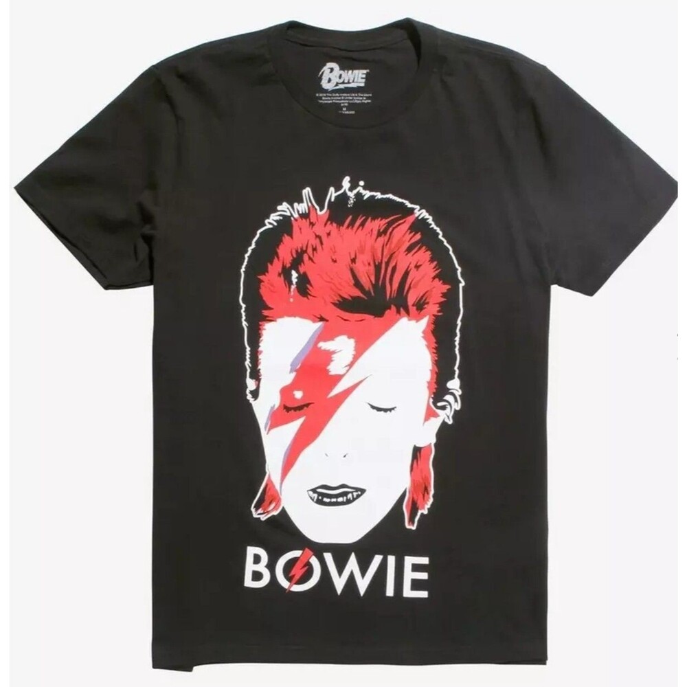 BOWIE Ziggy Cult face T shirt Fruit Of The Loom Cotton Black L Tee